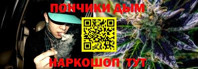 крисы Апшеронск