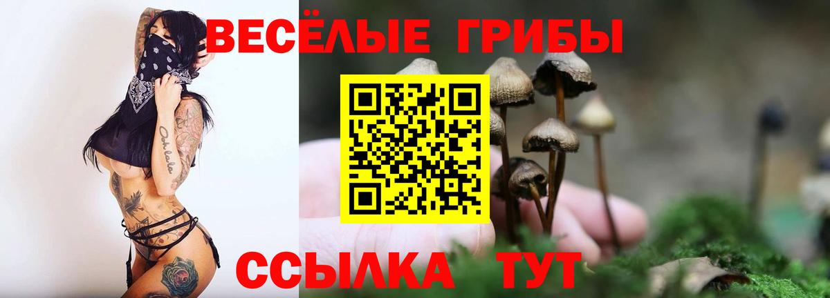 Галлюциногенные грибы GOLDEN TEACHER Всеволожск
